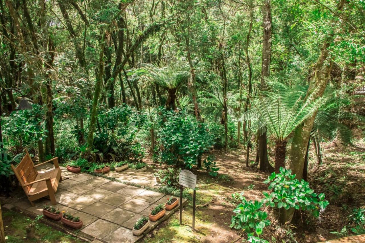 Hotel Pousada Cozumel Sierra กาเนรา ภายนอก รูปภาพ
